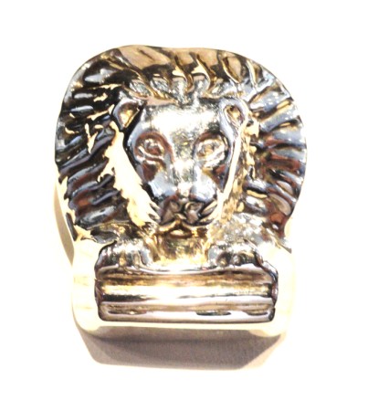 Lion's head pin