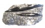 Double Orthoceras Fossil